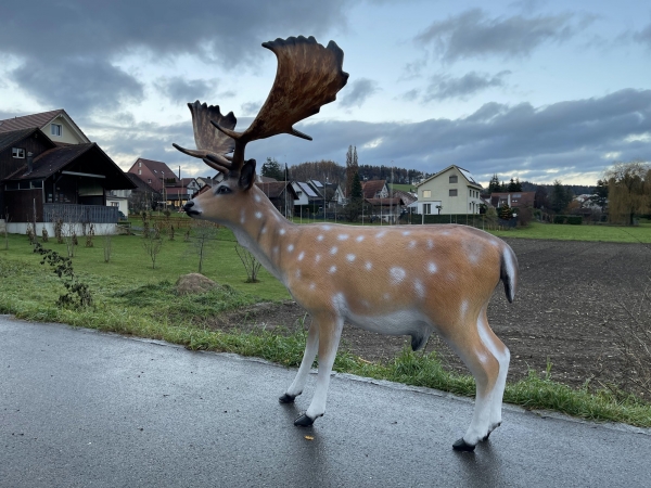 Damhirschfigur mit breitem Schaufelgeweih aus unserem Gartendeko-Sortiment