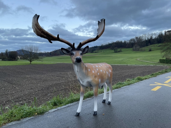 Lebensgrosse Damhirsch-Dekorationsfigur aus dem Gartendeko-Sortiment der Great Vision AG